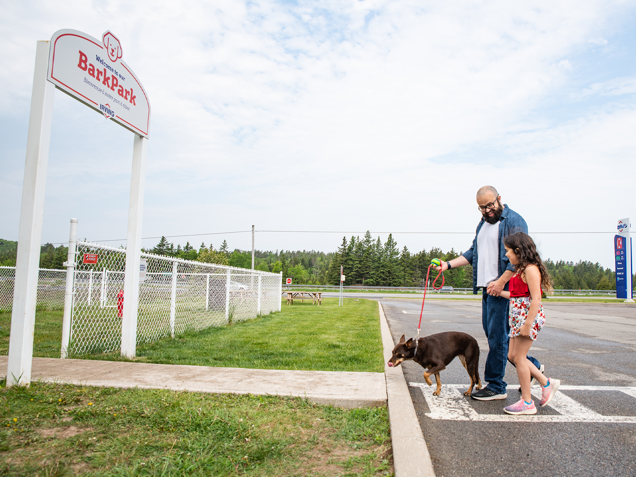Bark park 