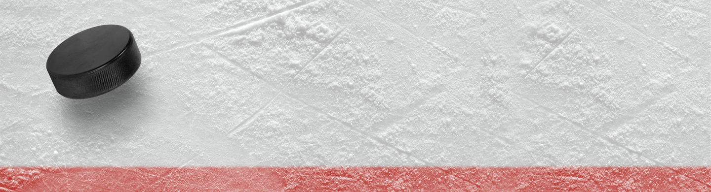 Ice hockey surface